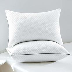 GOHOME Bed Pillows for Sleeping 2 Pack, Soft Standard Pillows with Luxury Velvet Fabric, Full Size Pillows with Down