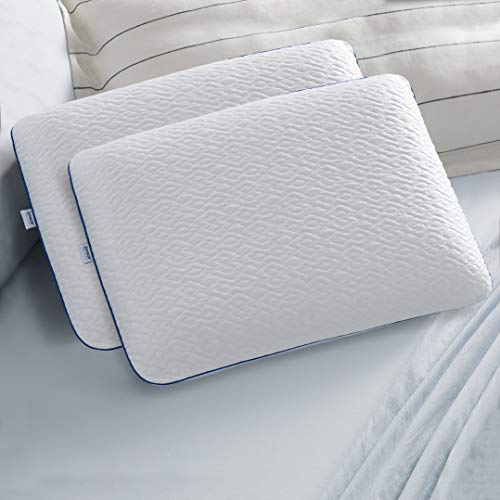 Sleep Innovations Forever Cool Gel Memory Foam Pillow, Standard, White