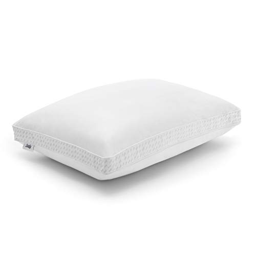 Sealy Essentials Down Alternative & Memory Foam Pillow, Standard/Queen