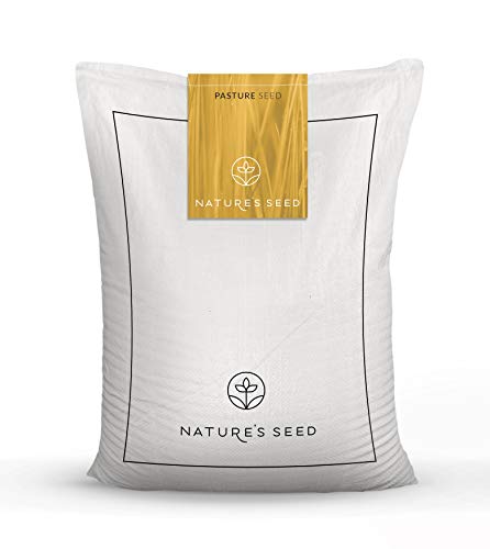 Nature's Seed Arizona Fescue (50 LBS)
