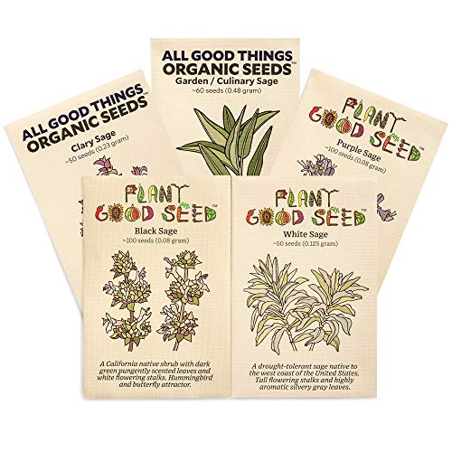 Plant Good Seed Sage Seed Collection (Five Packets): Black, Clary, Garden, Purple, White: Certified Organic, Non-GMO Seeds from The United