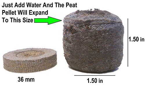Jiffy 500 Jiffy 7 Peat Pellets 36mm - Seeds Starting - Jiffy Peat Pellet Helps to Avoid Root Shock - 500 Jiffy Peat Pellets 36mm
