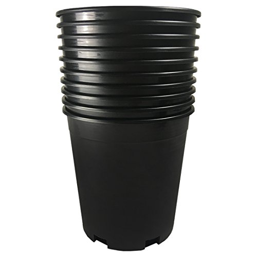 Calipots 10-Pack 2 Gallon Premium Black Plastic Nursery Plant Container Garden Planter Pots (2 Gallon)