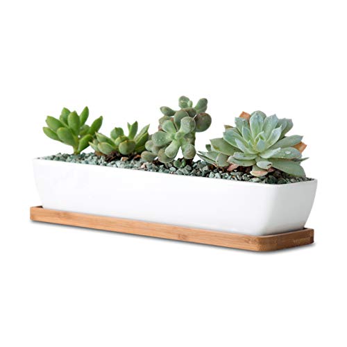 Wish you have a nice day 11inch Long Rectangle White Ceramic Succulent Planter Pots/Mini Flower Plant Containers with Bamboo Saucers. Product