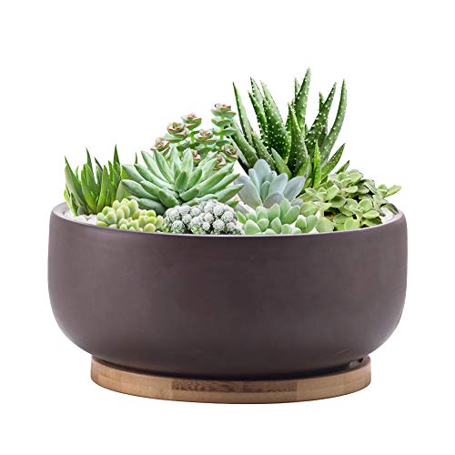 EPFamily Terracotta Shallow Succulent Planter, 8 Inch Planter Pot with Bamboo Tray, Clay Flower Pot Indoor and Outdoor