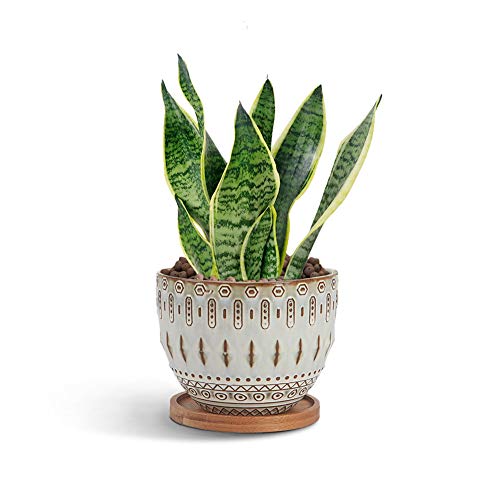 G EPGardening Vintage Succulent Planter Pot Large Plant Pot Ceramic Bohemian Planter Flower Pot Indoor and Outdoor with Drainage Hole and