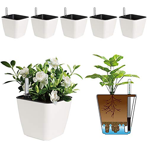 T4U 5.5 Inch Self Watering Plastic Planter with Water Level Indicator Pack of 6 - Matte White, Modern Decorative Planter