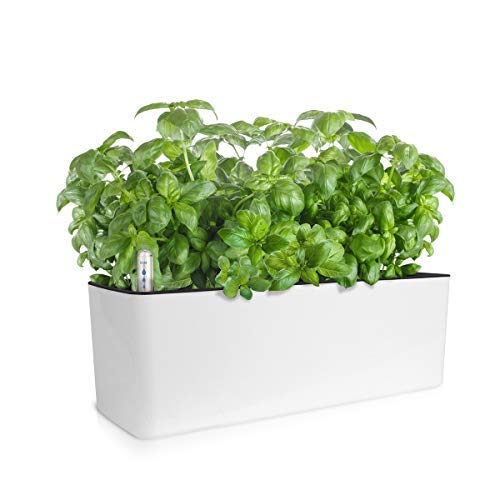 GrowLED Self Watering Planter Pots Window Box Indoor Home Garden Modern Decorative Planter Pot for All Indoor Plants,
