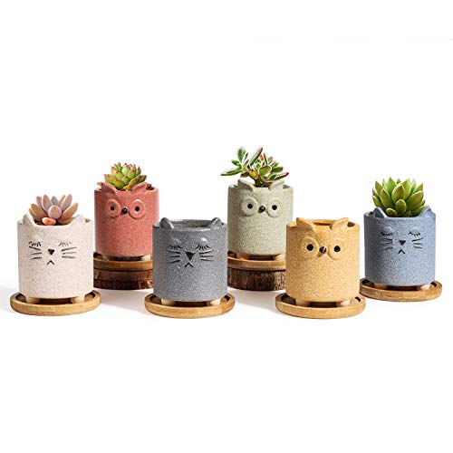 T4U Succulent Pots Ceramic Cartoon 2.5 Inch with Saucer Set of 6, Matte Collection Small Cute Animal Planter Rough Pottery
