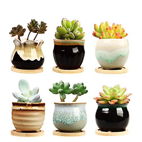 Brajttt 2.5 Inch Ceramic Succulent Planter Pot with Drainage,Planting Pot Flower Pots,Small Planter Pots for Mini Plant