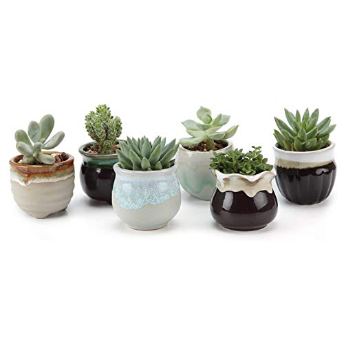 T4U Small Ceramic Succulent Pots with Drainage Set of 6, Mini Pots for Plants, Tiny Porcelain Planter, Air Plant Flower Pots