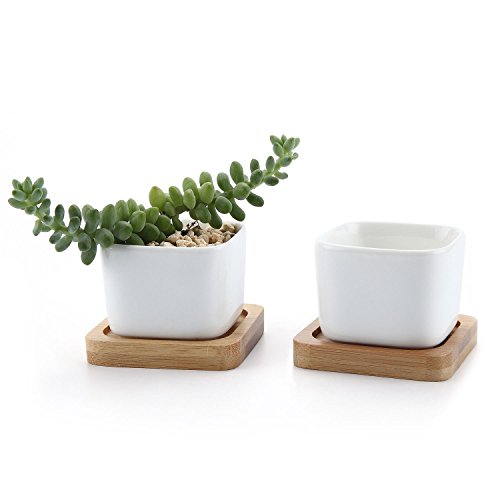 T4U 2 Inch Small White Succulent Planter Pots with Bamboo Tray Square Set of 2, Ceramic Succulent Air Plant Flower Pots