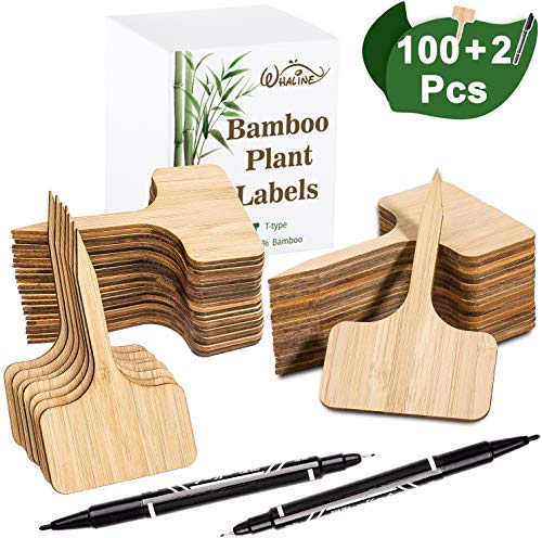 Whaline Whaline 100Pcs Bamboo Plant Labels in Gift Box with 2 Marker Pens,  Eco-Friendly T-Type Wooden Plant Sign Tags Garden Markers