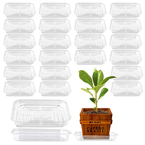 UltraOutlet 20-Pack Square Plant Saucer 8 Inch Plastic Plant Trays Pot Saucers for Plants Clear Pot Drainage Tray Plant Plate