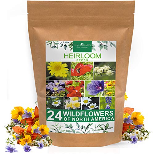 home grown Wildflower Seeds | Bulk Mix of 24 Different Varieties of Non-GMO Wildflower Seeds 3oz | Bee and Butterfly Garden Seeds |