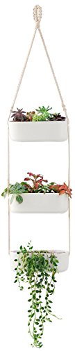 Mkono Ceramic Hanging Planter 3 Tier Indoor Wall Plant Holder for Succulent Herb Air Plant Live or Faux Plants Modern