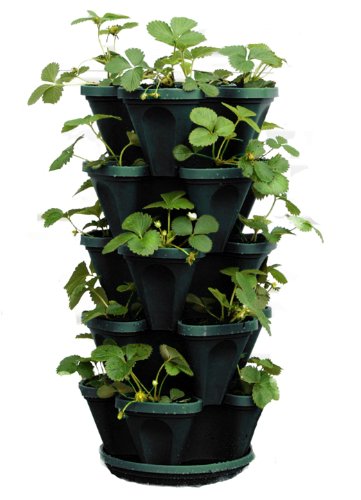 Mr. Stacky 1305-HG 5-Tier Stackable Strawberry, Herb, Flower, Vegetable Planter - Vertical Gardening Indoor/Outdoor Stacking