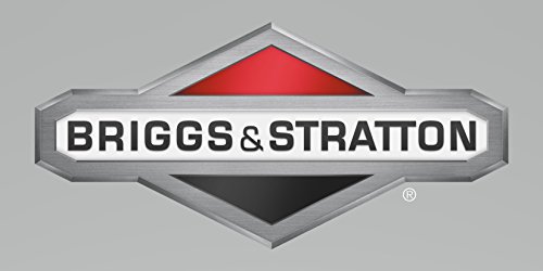 Briggs & Stratton 299690 Standard Piston Ring Set Genuine Original Equipment Manufacturer (OEM) Part