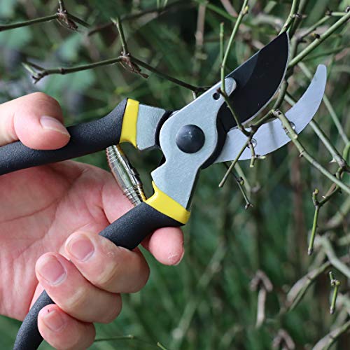 TOOLMOOM Hand Pruner Professional Pruning Shears Heavy Duty Garden Shears, Clippers for The Garden,Tree Trimmers (Black)