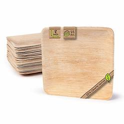 Naturally Chic Compostable Biodegradable Disposable Plates - Palm Leaf 8â€ Square Small Dinnerware Set - Eco Friendly