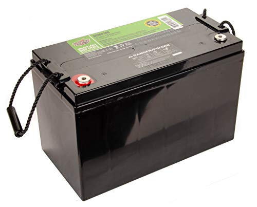 Interstate Batteries 12V 110 AH SLA / AGM Deep Cycle Battery 12V for Solar, Wind, and RV Applications - Insert Terminals