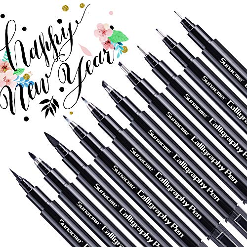 sunacme Calligraphy Pens, Hand Lettering Pen, 10 Size Caligraphy Brush Pens  for Beginner, Writing, Sketching, Drawing, Illustration