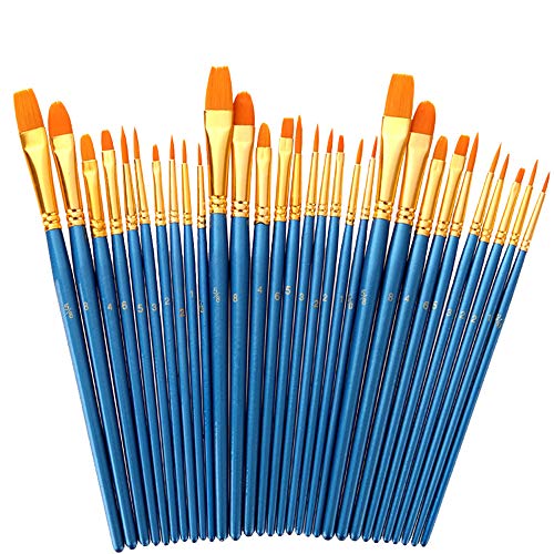 Foeran Paint Brushes Set,30 Pcs Round Pointed Tip Paintbrushes Nylon Hair Artist Acrylic Paint Brushes for Acrylic Oil