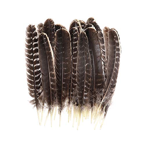 20pcs Natural Turkey Feathers Bulk 10-12 inch Wild Turkey Feather for DIY  Crafts Project Collection Wedding Decoration Erikord