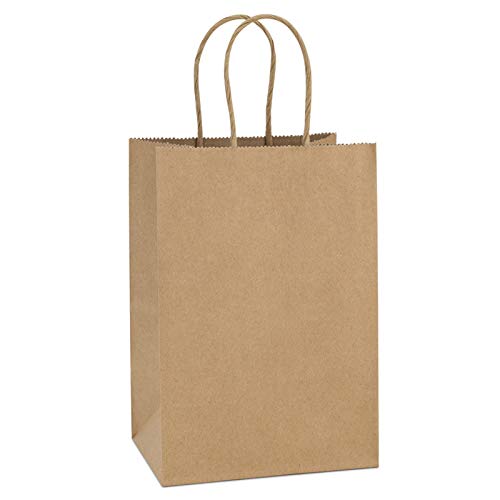 BagDream Kraft Paper Bags 100Pcs 5.25x3.75x8 Inches Small Paper Gift Bags with Handles Bulk, Paper Shopping Bags, Kraft Bags,