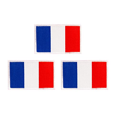 Desert Cactus France Flag Patch Bulk 3-Pack 3.5Wx2.25H State Iron On Sew Embroidered Tactical Morale Back Pack Hat Bags French (3-Pack