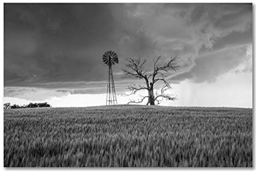 Southern Plains Photography Country Wall Art Photography Print - Black and White Picture of Windmill and Dead Tree in Wheat Field in Oklahoma - Unframed