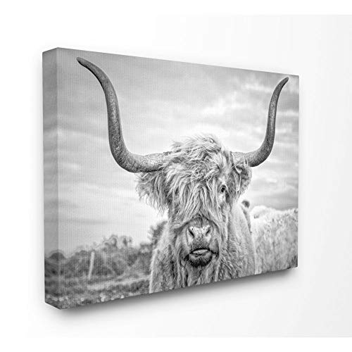Stupell Industries Black and White Highland Cow Photograph Canvas Wall Art, 30 x 40, Design by Artist Joe Reynolds