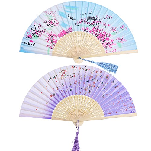 Hotop 2 Pieces Folding Fans Handheld Fans Bamboo Fans with Tassel Women's Hollowed Bamboo Hand Holding Fans for Wall Decoration,