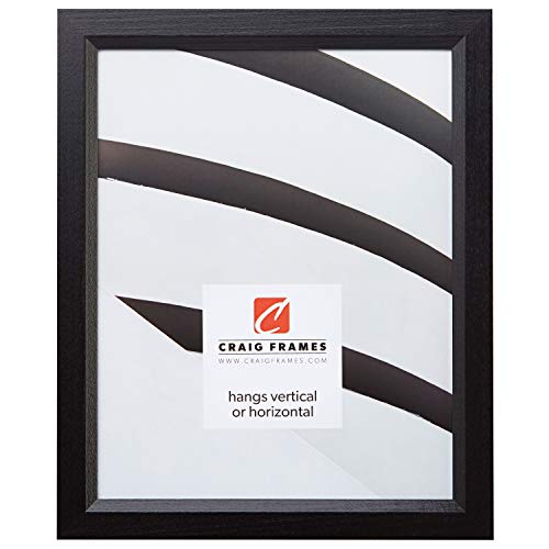 Craig Frames Inc Craig Frames 7171610BK 16 by 22-Inch Poster Frame, Wood Grain Finish, 0.825-Inch Wide, Solid Black