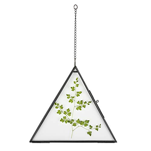 Ncyp NCYP Medium Black Hanging Triangle Herbarium Brass Glass Frame for  Pressed Flowers, Dried Flowers, Poster, Double Glass