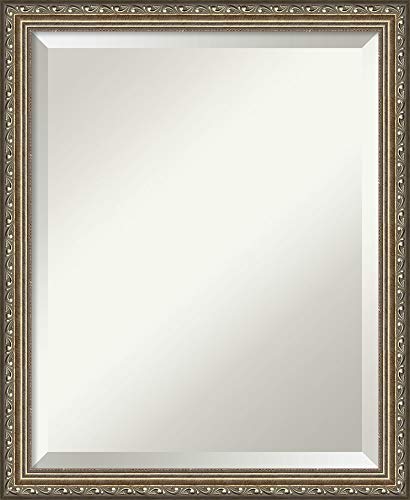 Amanti Framed Vanity Mirror | Bathroom Mirrors for Wall | Parisian Silver Mirror Frame | Solid Wood Mirror | Small Mirror | 22.25 x