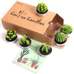 AIXIANG 6 Styles Cactus Tealights Candle Delicate Succulent Tealight Candles for Home Decor New Year Presents, Housewarming
