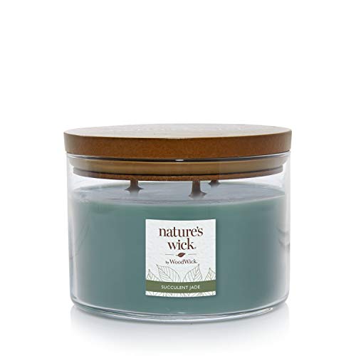 Nature's Wick Succulent Jade Candle