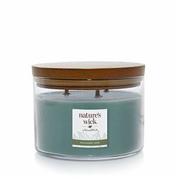 Nature's Wick Succulent Jade Candle
