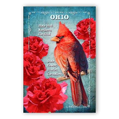 Postcard Fair OHIO BIRD AND FLOWER postcard set of 20 identical postcards. OH state symbols post cards. Made in USA.