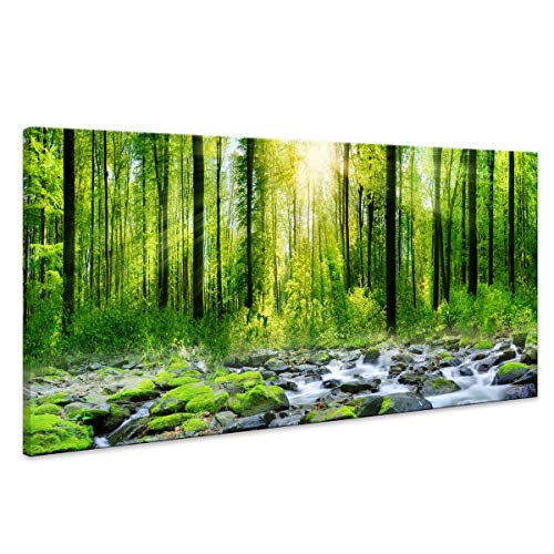 Tucai Decor Canvas Art Decor Morning Sunrise Green Trees Landscape Sunshine Over Forest Photograph Printed on Canvas for Home Wall