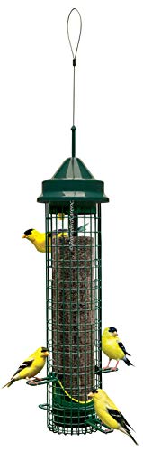 Brome Squirrel Buster Finch Squirrel-proof Bird Feeder w/4 Metal Perches & 8 Feeding Ports, 2.4-pound Thistle/Nyjer Seed Capacity