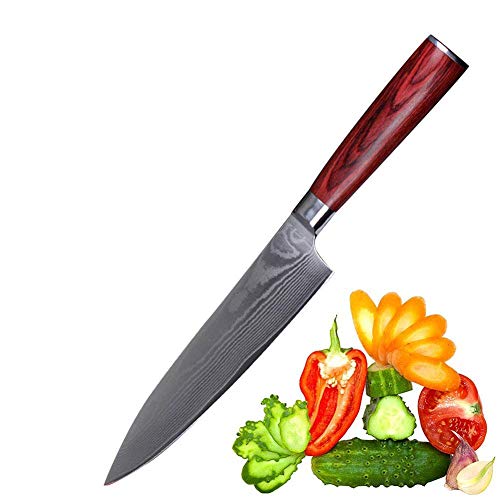 Jasni Damascus Super Steel Chef Knife, Professional Chefs Knife Japanese High Carbon Stainless Steel Kitchen Chef Knife with Gift