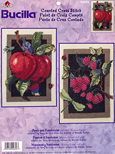 Bucilla Apple and Raspberries Counted Cross Stitch Picture Kit 42856