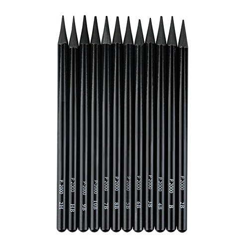 EVNEED Woodless Pencil Set,12 pcs Non-wood Graphite and