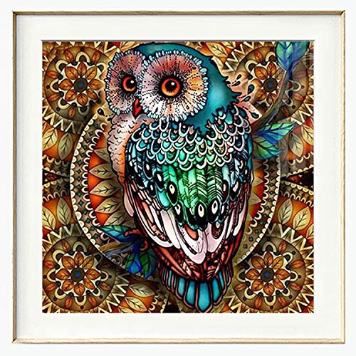 Cenda Diamond Painting Kits for Adults Kids, 5D DIY Owl Diamond Art  Accessories with Round Full Drill for Home Wall Decor 