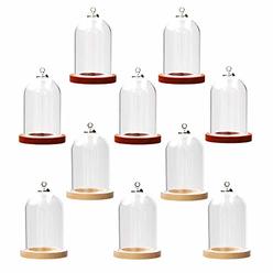 ZenRa 10 pieces glass dome with Wooden base glass vial pendant with Wood hollow glass Cabochons charms (38x25mm mixed color)