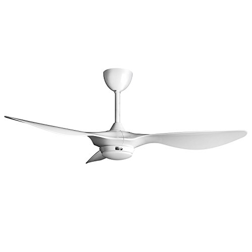 reiga 52-in Ceiling Fan with LED Light Kit Remote Control Modern Blade Noiseless Reversible Motor,6-speed, 3 color