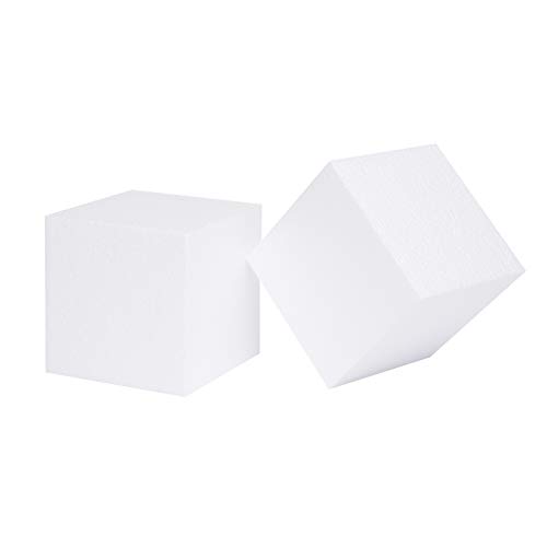 SilverlakeLLC Silverlake Craft Foam Block - 2 Pack of 5x5x5 EPS Polystyrene  Cubes for Crafting, Modeling, Art Projects and Floral