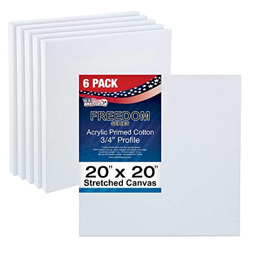 US Art Supply U.S. Art Supply 20 x 20 inch Stretched Canvas 12-Ounce Primed 6-Pack - Professional White Blank 3/4" Profile Heavy-Weight
